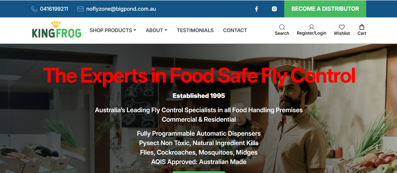 Kingfrog website preview