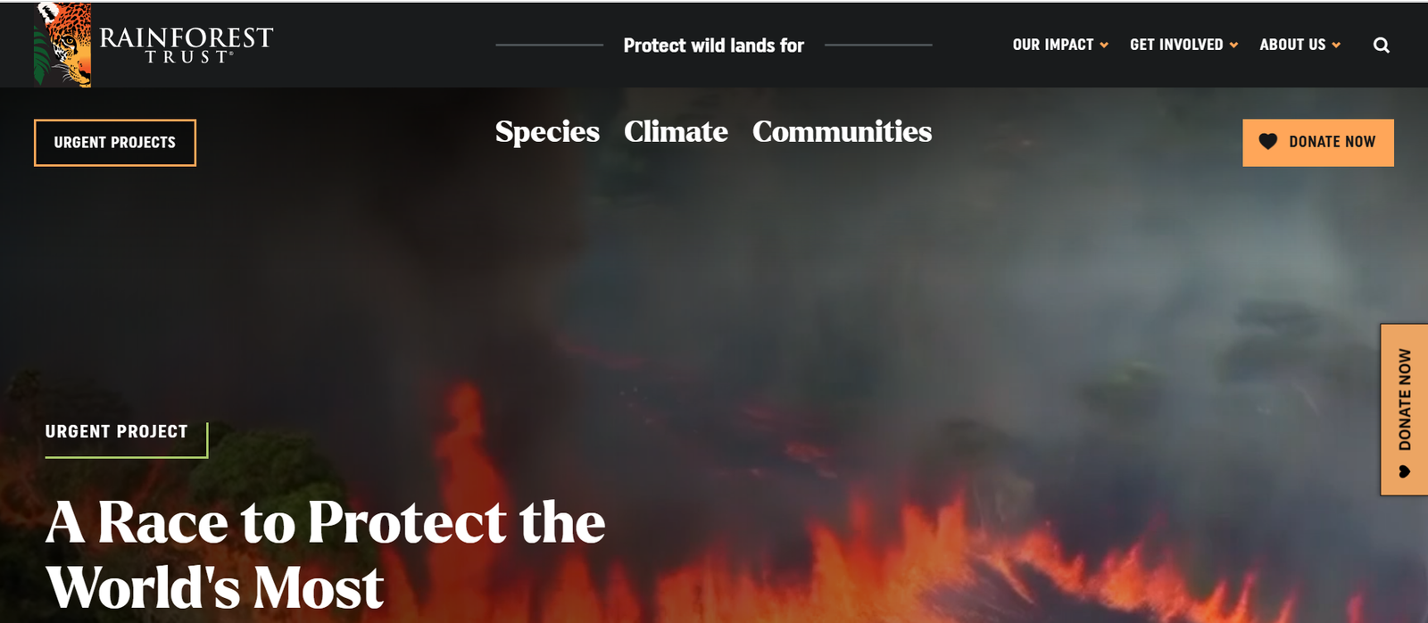 Rainforest Trust website preview
