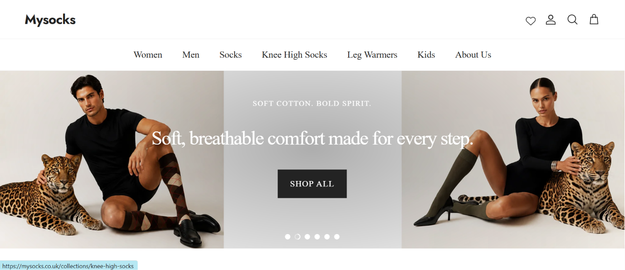 MySocks website preview